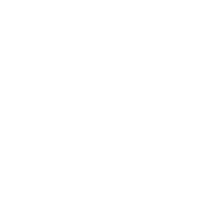 Lightroom logo